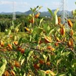 Unlocking Confidence in Every Lesson