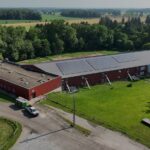 Discovering Everyday Favourites: A Guide to Happy Hens