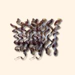 Ducks Feet for Dogs: Natural Treats that Support Joints