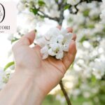 Therapist for Sex Workers in Nevada – Compassionate, Confidential Support