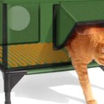 Dog Food for Puppy German Shepherd: Premium Growth & Health