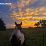 Storm Chasing Tours Oklahoma: Thrilling Tornado Country Adventures