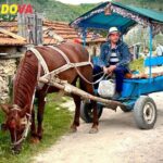 Your Moldova Tour Guide: Expert Tips for an Unforgettable Trip