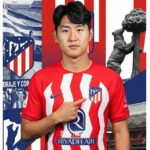 해외 스포츠 분석 사이트의 신뢰와 깊이: 글로벌 데이터의 관찰자