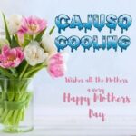 Vertical Window Air Conditioner​ | Cajusocooling.com