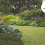 Weeding Services in Bristol | Tidy Gardeners Bristol