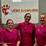 Hund tandvård i Skurup – Sjobodjurklinik