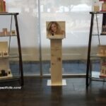 Phyris Spiceup | Europacificllc.com