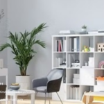 Educational Assessment Services Claremont | Kirstinbrinkedpsych.com