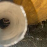 Attic Bat Exclusion Shohola: Safe, Effective Solutions