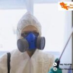 Mosquito Control Edmonton | Dragonpestcontrol.ca