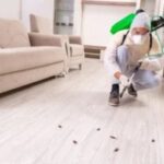 Reliable Pest Control Near Mickleham | Trident Pest Control