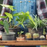 Cottage Food Business Marketplace | Cuina