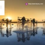 Businesses For Sale Singapore | Feyday.com