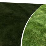 Lawn Dethatching Services in Corcoran, MN | Expert Care