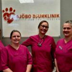 Vaccinera hund i Ystad – säkra vaccinationer hos Sjobodjurklinik