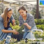 Mosquito Control And Yard Protection | Thickgreenhealthy.com