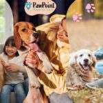 Pet Euthanasia Near Me: Gentle, Compassionate Care for Your Pet