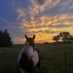 Storm Chasing Photography Trips: Capture Epic Weather Moments