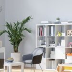 Career Guidance Assessment Cape Town: Find Your Path