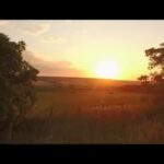 Tours from Chisinau Explore Moldova’s Top Attractions