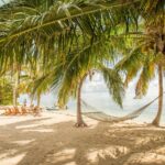 Bonefishing in Bahamas: Your Trophy Flats Adventure