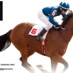 樂博星娛樂城：探索高RTP電玩與穩定回報