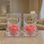 A Whisper of Forever in a Quiet Garden