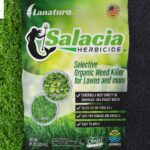 Natural Weed Killer Safe For Pets: Gentle, Effective & Non-Toxic