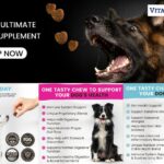 Natural dog vitamins: a wholesome boost for your companion