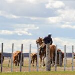 Luxury fly fishing lodges in Bahamas: an exhilarating escape