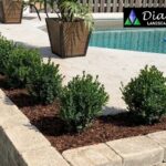 Professional Sod Installation Company Cambridge | Diadem Landscape