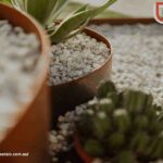 Steel edge garden: Modern, durable borders for outdoor spaces