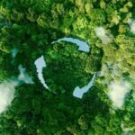 Gestor autorizado RAEE: eliminación segura y conforme