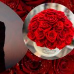 Forever Sunflower: Timeless, Handcrafted Blooms from Clifton