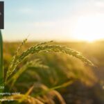 Boka psykolog i Stockholm – hjälp när du behöver det