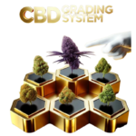 CBD Flower Online UK | Premium CBD from Green Budz