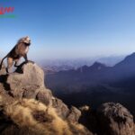 Ethiopia Tours for Business Travelers: Seamless Work & Leisure