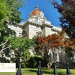 Experienced lawyer for automobile accident claims UK