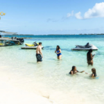 Swim With Pigs Nassau: Unforgettable Bahamas Adventure