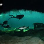 Cenotes Cave Diving: A Bright, Adventurous Underwater World