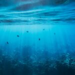 Gentle dental gum treatment in Ottawa | Dolphin Dentistry