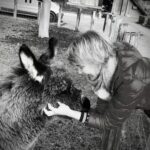 Gespräche mit verstorbenen Tieren: Trost und Heilung finden