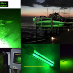 Catch More At Night with the Best Underwater Fishing Lights