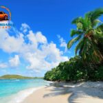 Low Cost Car Rental Hawaii: Affordable Rates for Your Island Adventure