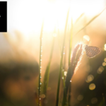 Psykodynamisk terapi i Östermalm – stöd och förståelse