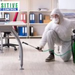 Calgary Pest Control Experts | Safe, Fast, Affordable Solutions