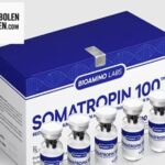 Winstrol Kopen: Veilig en Betrouwbaar bij AnabolenKopen