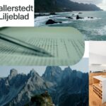 Företagets skatteefterlevnad med proffsiga tjänster