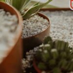 Corten Weathering Steel: Durable, Weather-Ready Garden Solutions